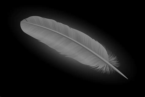 dark grey feather spiritual meaning|meaning of grey feathers appearing.